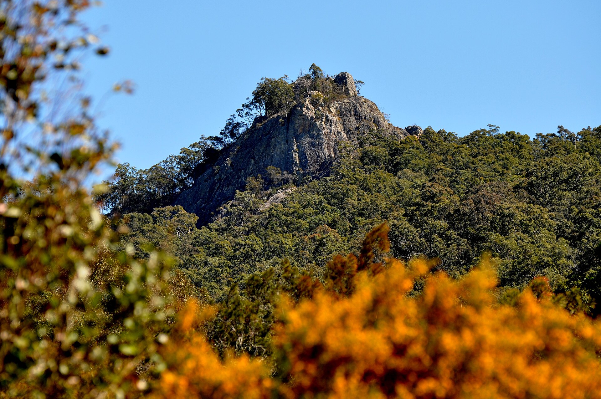 Barrington Tops, near Gloucester, near Gloucester